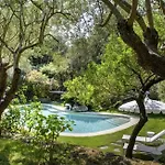 Grotta Leone Lacco Ameno (Isola d'Ischia)