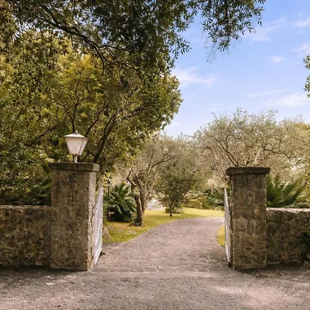 Grotta Leone *